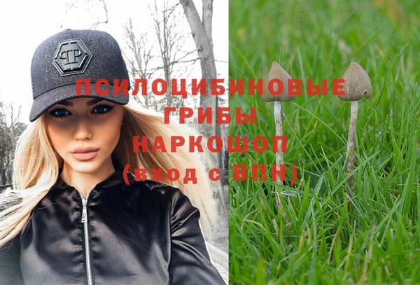 бошки Арсеньев