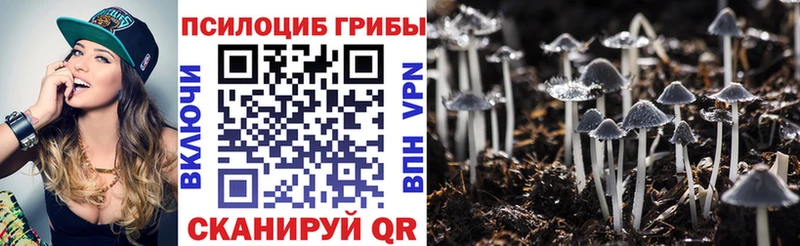 Псилоцибиновые грибы прущие грибы Пролетарск
